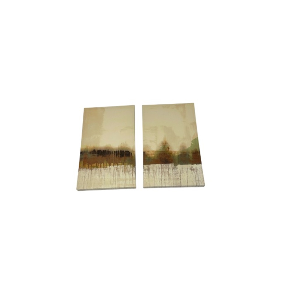 HomeSense Abstract Canvas Wall Art Set